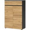 Aktenschrank Charin
