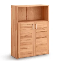 Aktenschrank mit Türen Feliana