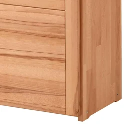 Aktenschrank mit Türen Feliana