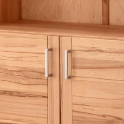 Aktenschrank mit Türen Feliana