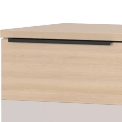 Aktenschrank Sanu