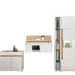 Arbeitszimmermöbel Set Rascian