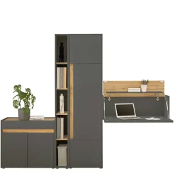 Arbeitszimmermöbel Set Uzniana