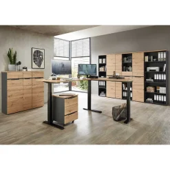 Arbeitszimmermöbel 9teilig Esdravos