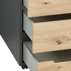 Arbeitszimmermöbel 9teilig Esdravos