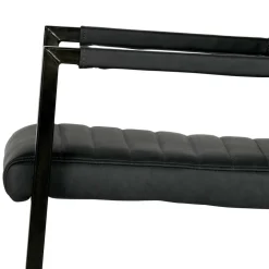Armlehnen Freischwinger Davadus