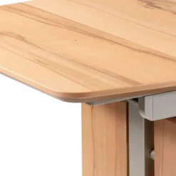 Ausziehtisch Ilunas