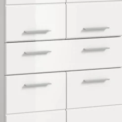 Badhochschrank Bird