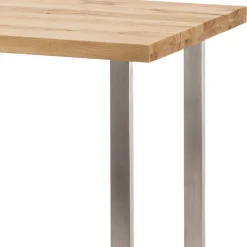 Bartisch Cacillo