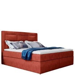 Box Bett Arabico