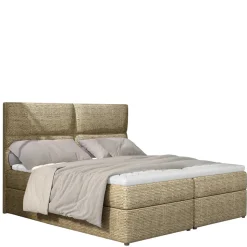 Box Bett Crimus