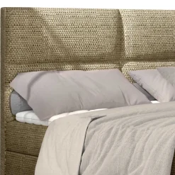 Box Bett Crimus