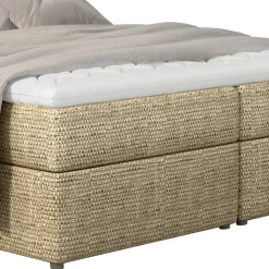 Box Bett Crimus