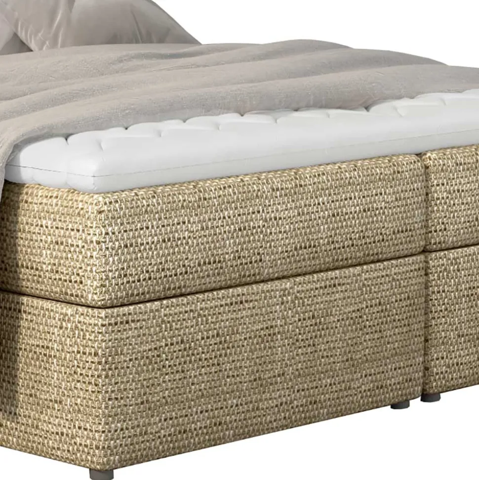 Box Bett Crimus