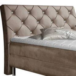 Box Bett Faviconda