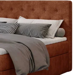 Box Bett Lajasa