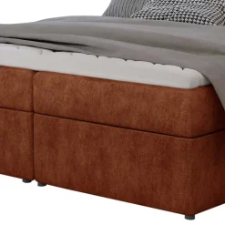 Box Bett Lajasa