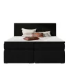 Box Bett Root
