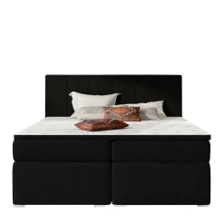 Box Bett Root