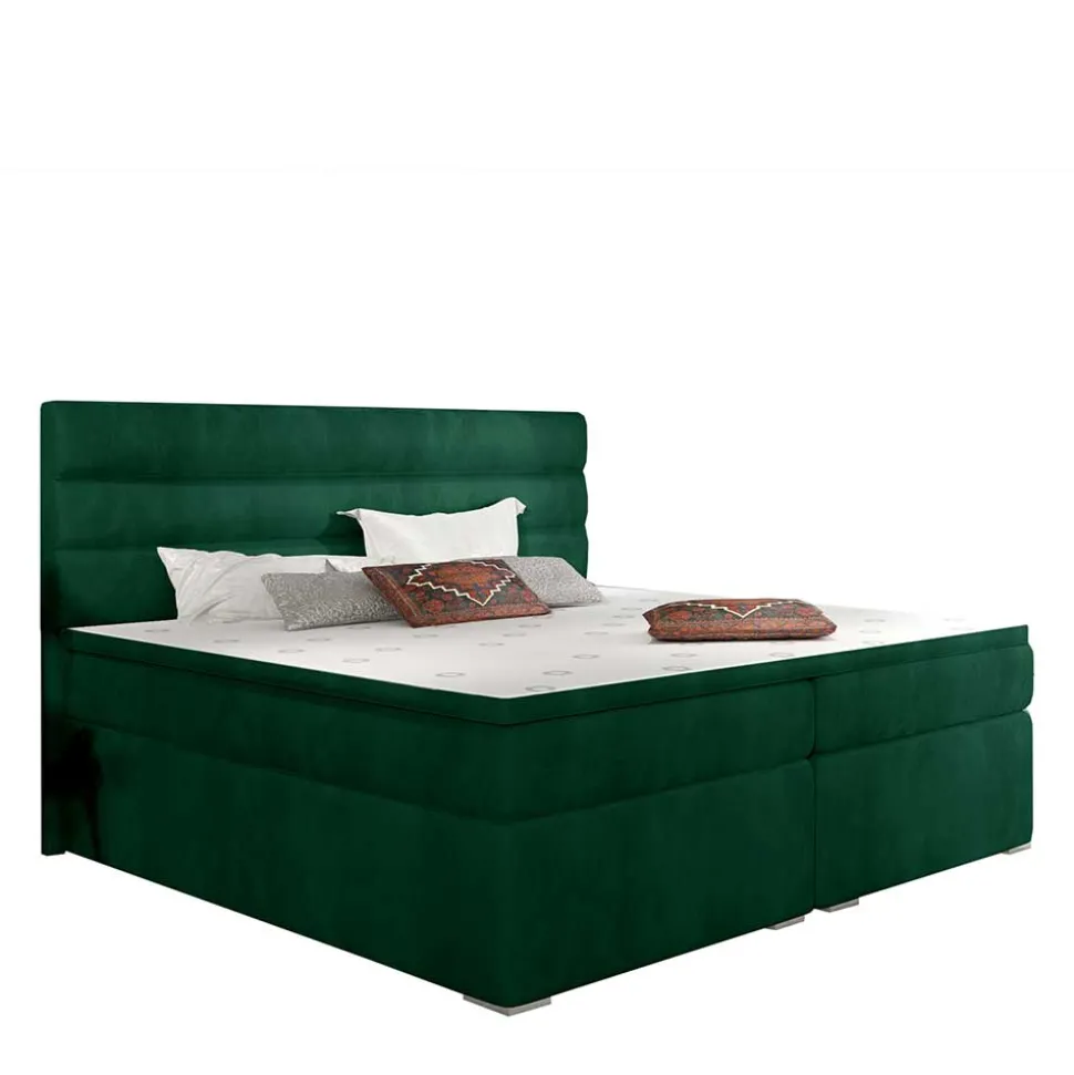 Boxbett Barahoma