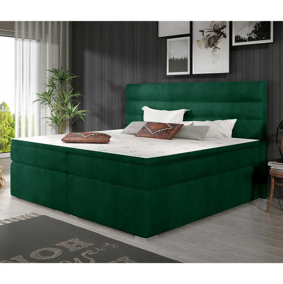 Boxbett Barahoma