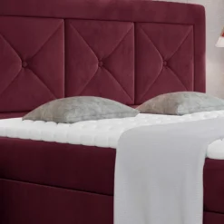 Boxbett Cigano