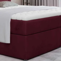 Boxbett Cigano