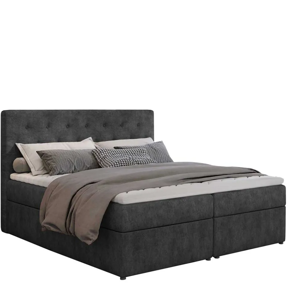 Boxbett Dambrosio
