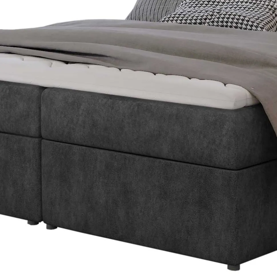 Boxbett Dambrosio