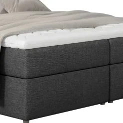Boxbett Luvega