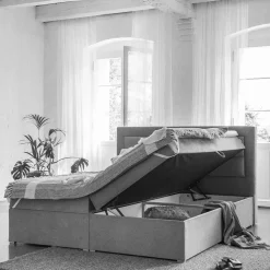Boxbett Mirzamo