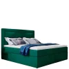 Boxbett Narcisso