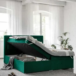 Boxbett Narcisso
