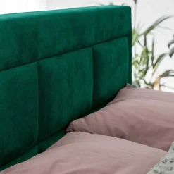 Boxbett Narcisso