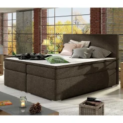 Boxbett Purkina