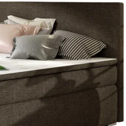 Boxbett Purkina