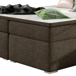Boxbett Purkina