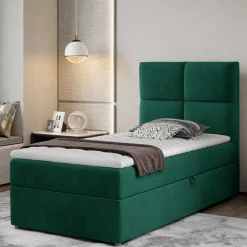 Boxbett Scolava