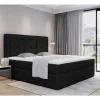 Boxbett Xenata