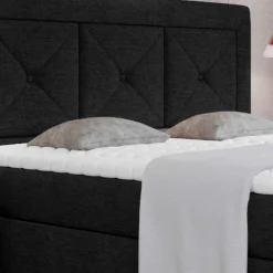 Boxbett Xenata