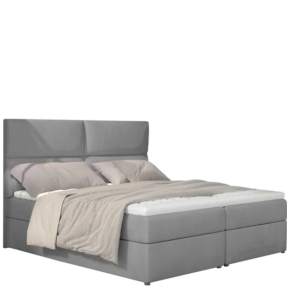 Boxbett Zilandra
