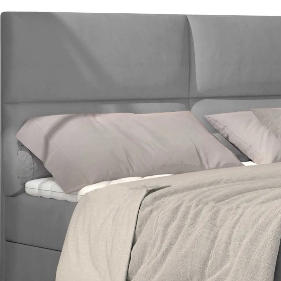 Boxbett Zilandra