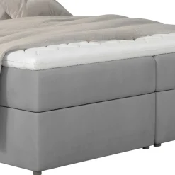Boxbett Zilandra