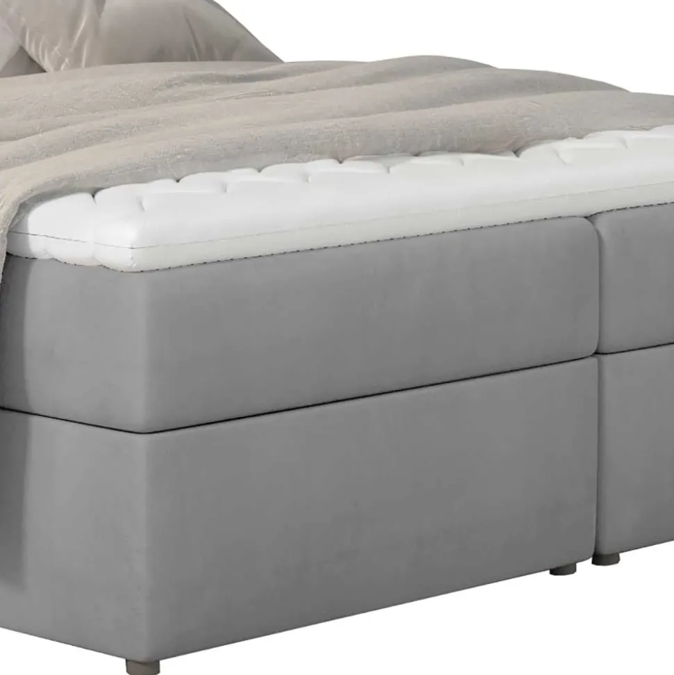 Boxbett Zilandra