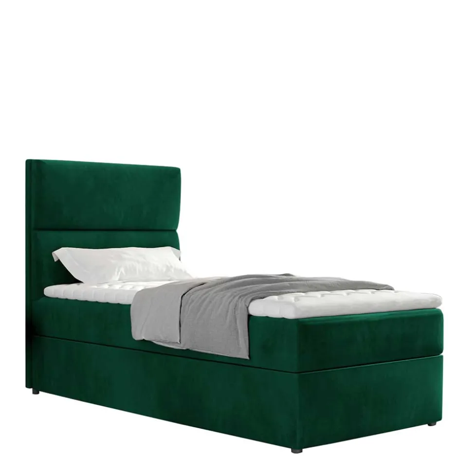 Boxbett Zoalyn