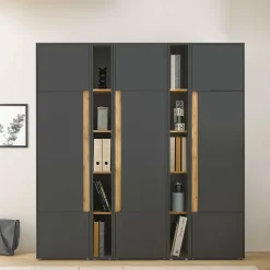 Büro Schrankwand Uzniana