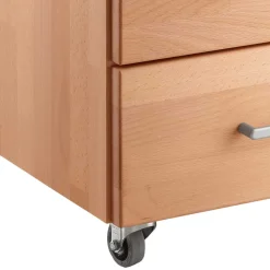 Bürorollcontainer Len