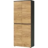 Büroschrank Charin