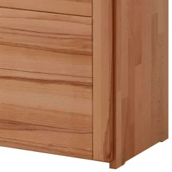 Büroschrank Feliana
