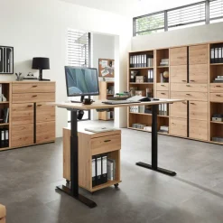 Büroschreibtisch Carsons